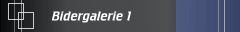 Bidergalerie 1