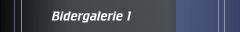 Bidergalerie 1